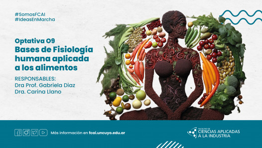 imagen Optativa O9 "Bases de Fisiología humana aplicada a los alimentos"
