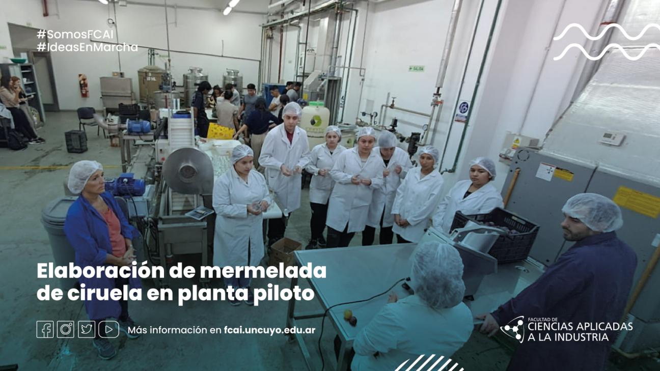 imagen Elaboración de mermelada de ciruela en planta piloto