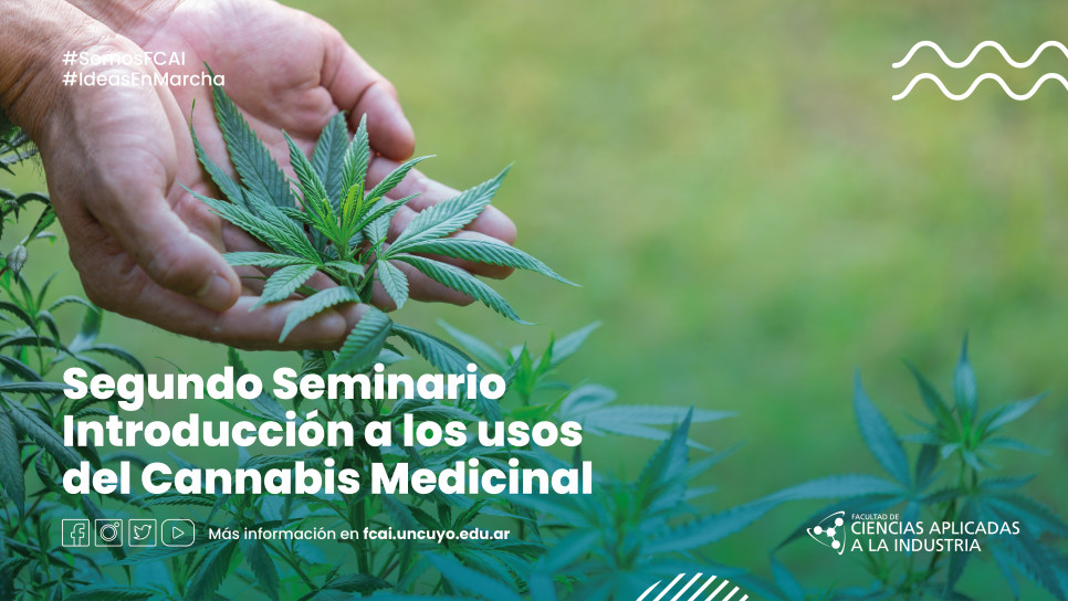 imagen Segundo Seminario | Introducción a los usos del Cannabis Medicinal