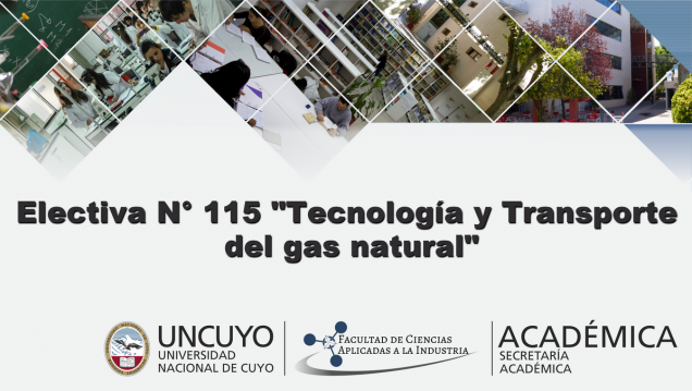 imagen Electiva Nº E 115  "Tecnología y Transporte del Gas Natural"