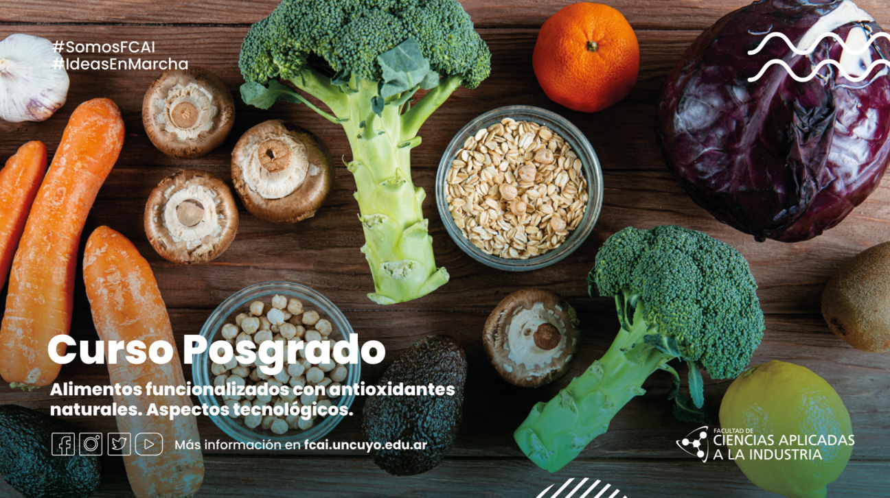 imagen Curso Alimentos funcionalizados con antioxidantes naturales. Aspectos tecnológicos.