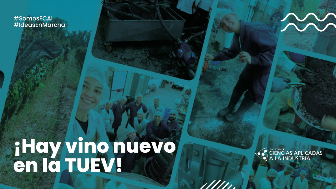 imagen Hay vino nuevo en la TUEV