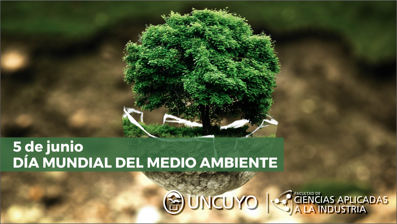 imagen 5 de junio - Día Mundial del Medio Ambiente