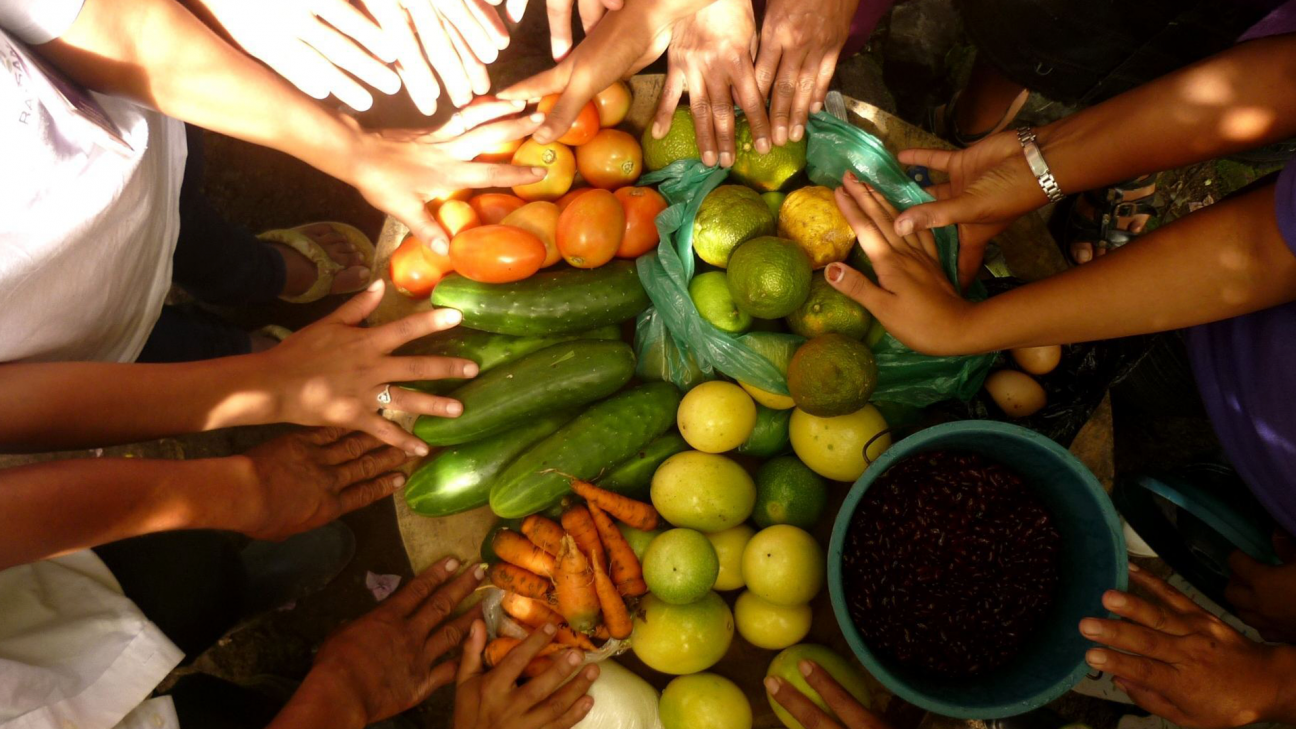 imagen Jornada sobre Seguridad alimentaria, desafíos globales y el rol de las universidades