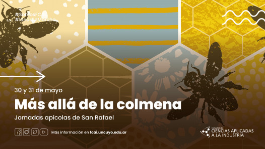 imagen "Más allá de la colmena" | Jornadas apícolas de San Rafael