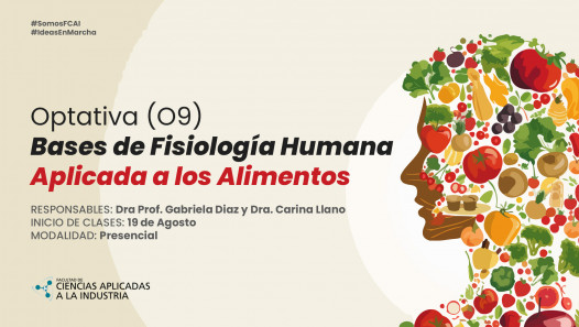imagen Optativa (O9) Bases de Fisiología humana aplicada a los alimentos