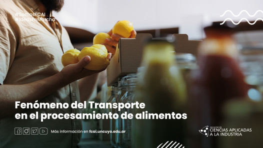 imagen FENÓMENOS DEL TRANSPORTE EN EL PROCESAMIENTO DE ALIMENTOS 