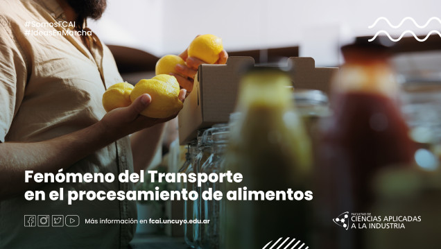 imagen FENÓMENOS DEL TRANSPORTE EN EL PROCESAMIENTO DE ALIMENTOS 