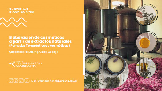 imagen Elaboración de cosméticos a partir de extractos naturales (pomadas (terapéuticos y cosméticas)