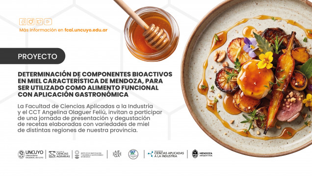imagen Determinación de componentes bioactivos en miel característica de Mendoza para ser utilizada como alimento funcional con aplicación gastronómica