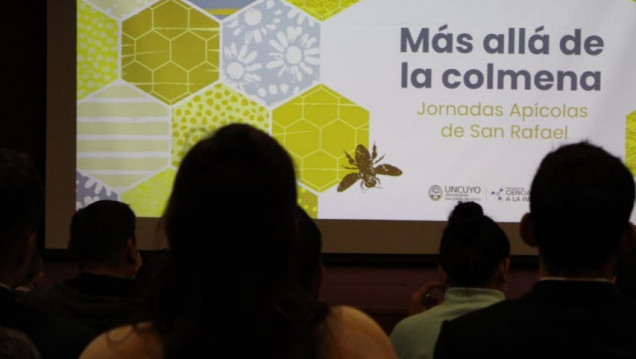 imagen Proyecto "Más allá de la Colmena"