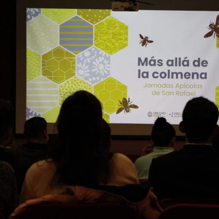 imagen Proyecto "Más allá de la Colmena"