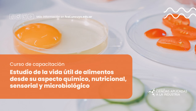 imagen Curso de capacitación