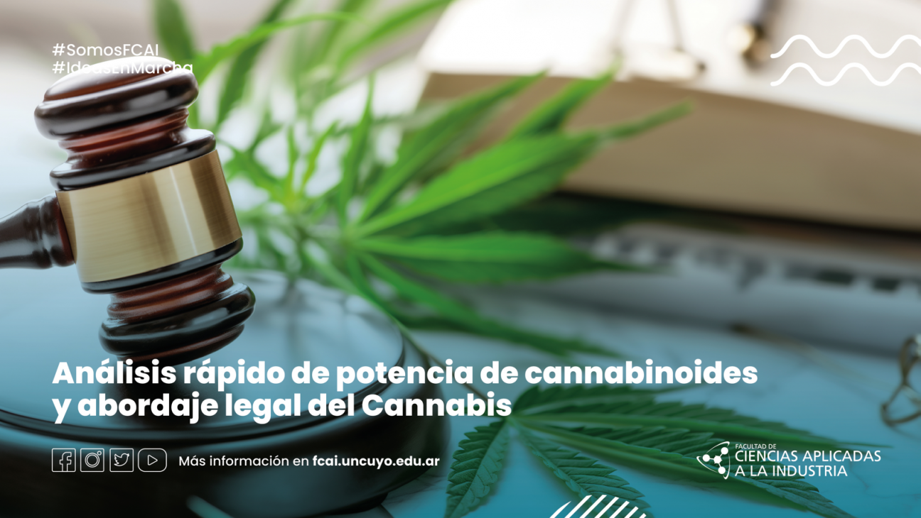 imagen Análisis rápido de potencia de cannabinoides y abordaje legal del Cannabis.