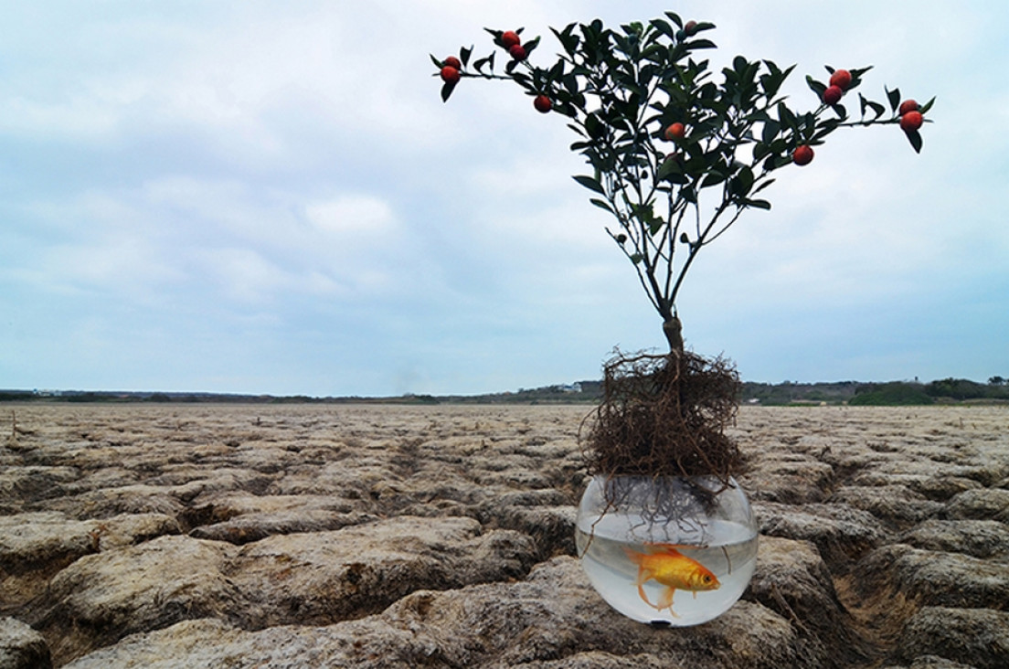 imagen Muestra Fotográfica: : "CLIMA, SITUACION DE EMERGENCIA"  - Concurso internacional de fotografía 2015 de la Fondation  Alliance française -