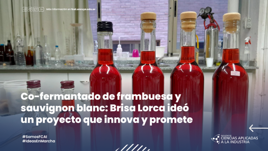 imagen Co-fermantado de frambuesa y sauvignon blanc: Brisa Lorca ideó un proyecto que innova y promete