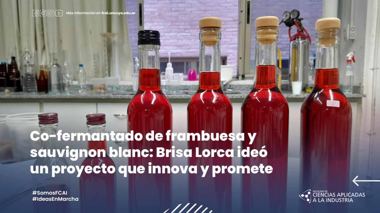 imagen Co-fermantado de frambuesa y sauvignon blanc: Brisa Lorca ideó un proyecto que innova y promete