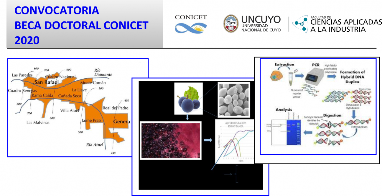 imagen Convocatoria Beca DOCTORAL