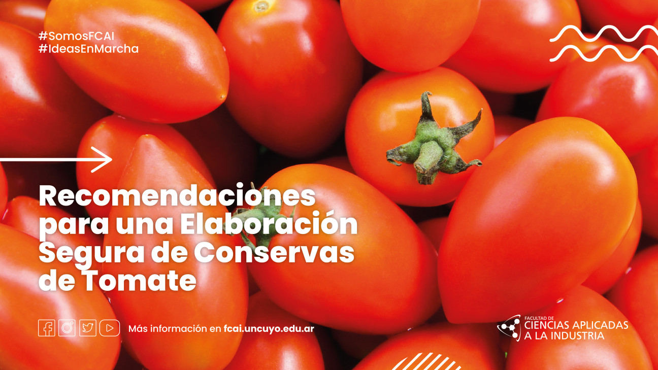 imagen Recomendaciones para una Elaboración Segura de Conservas de Tomate