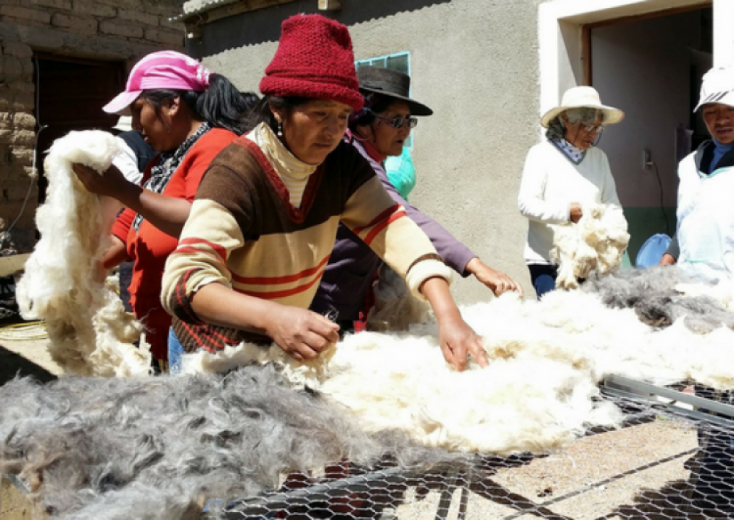 imagen Seminario: Repensando el desarrollo rural en América Latina y el Caribe