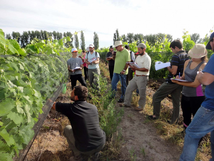 imagen Se dio inicio al curso "Conocimiento ampelográfico de cultivares vitícolas para vinificar" 