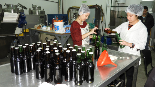 imagen Proceso de elaboración de cerveza