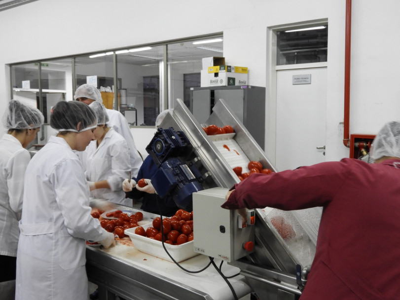 imagen Producción de pulpa de tomate en la Planta Piloto de la FCAI
