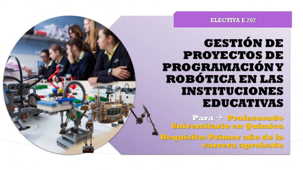 imagen Electiva E-202 "gestión de proyectos de programación y robótica en las instituciones educativas"