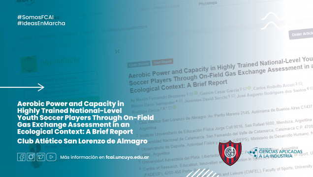 imagen Aerobic Power and Capacity in Highly Trained National-Level Youth Soccer Players Through On-Field Gas Exchange Assessment in an Ecological Context: A Brief Report 