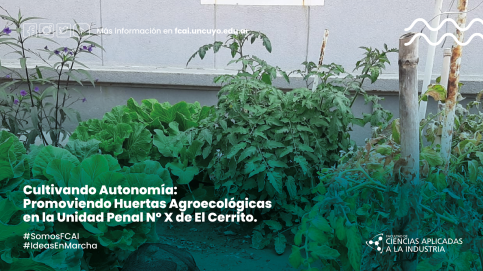 imagen Cultivando Autonomía: Promoviendo Huertas Agroecológicas en la Unidad Penal Nº X de El Cerrito.