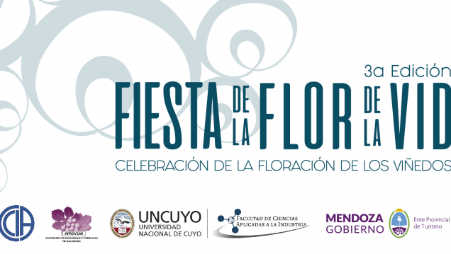 imagen 3ª edición FIESTA DE LA FLOR DE LA VID, celebración de la floración de los viñedos sanrafaelinos.