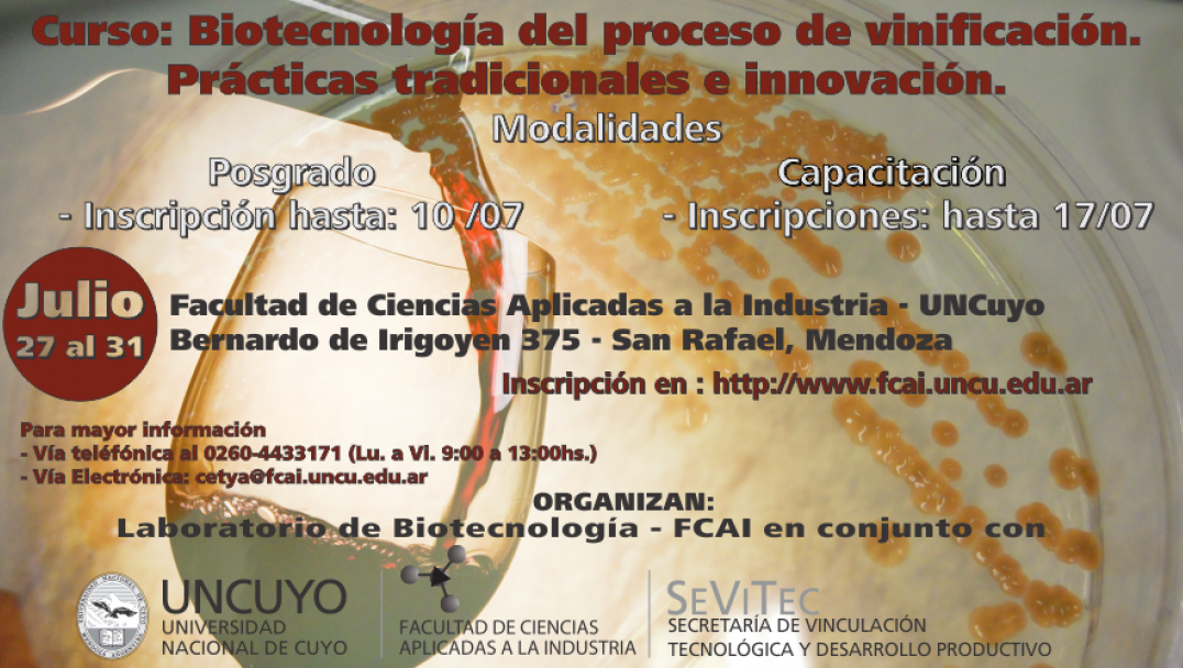 imagen Curso: Biotecnología del proceso de vinificación. Prácticas tradicionales e innovación.