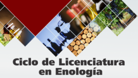 Ciclo de Licenciatura en Enología