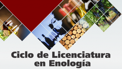 imagen Ciclo de Licenciatura en Enología