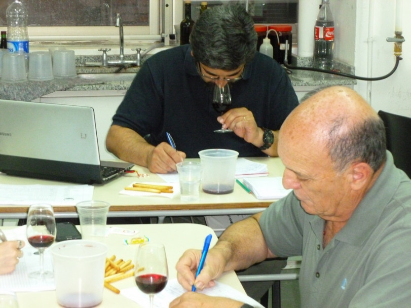 imagen Comenzó la selección de vinos CAVISAR  2015 – San Rafael – 