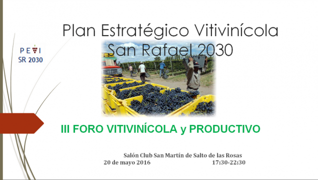 imagen Plan Estratégico Vitivinícola San Rafael 2030