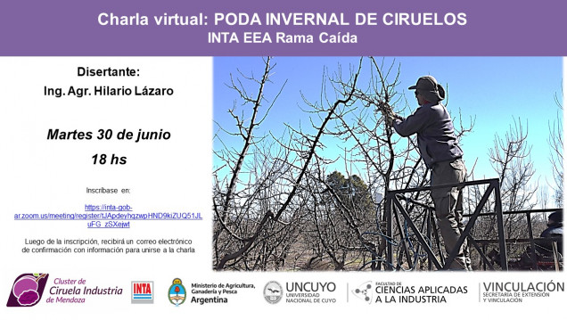 imagen Poda Invernal de Ciruelos Charla Virtual