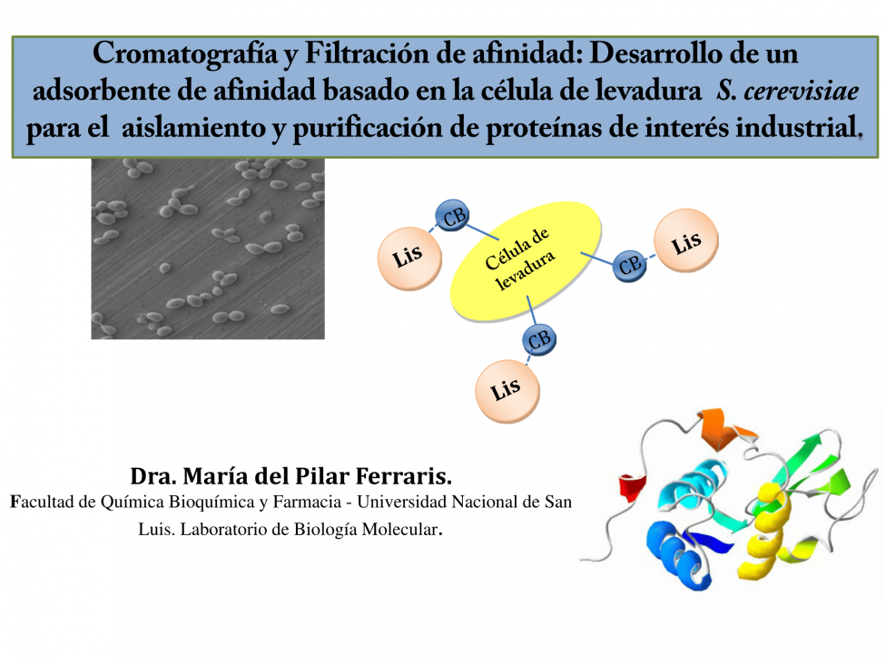 imagen Seminarios CONICET San Rafael - Organizados por la FCAI