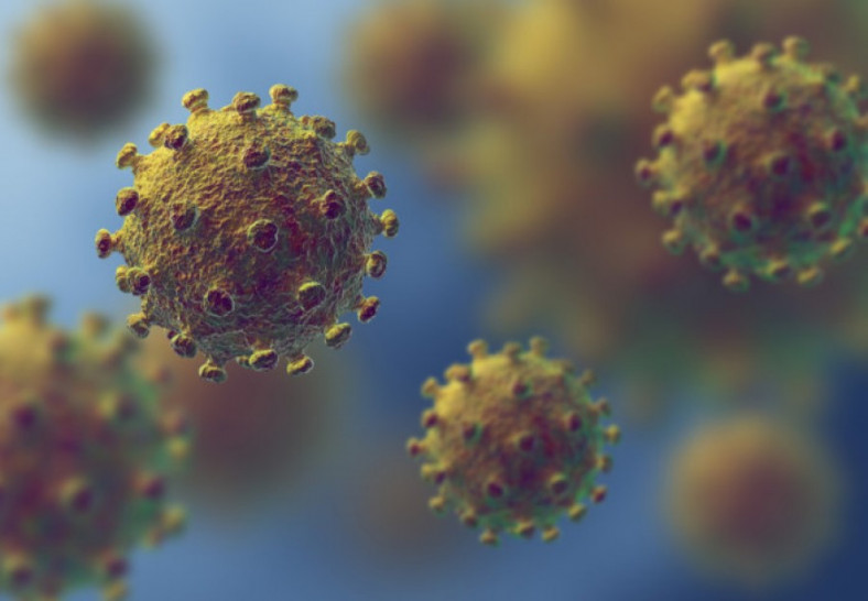 imagen Seminario virtual "Epidemiología de la pandemia COVID-19. Simulaciones y conclusiones"