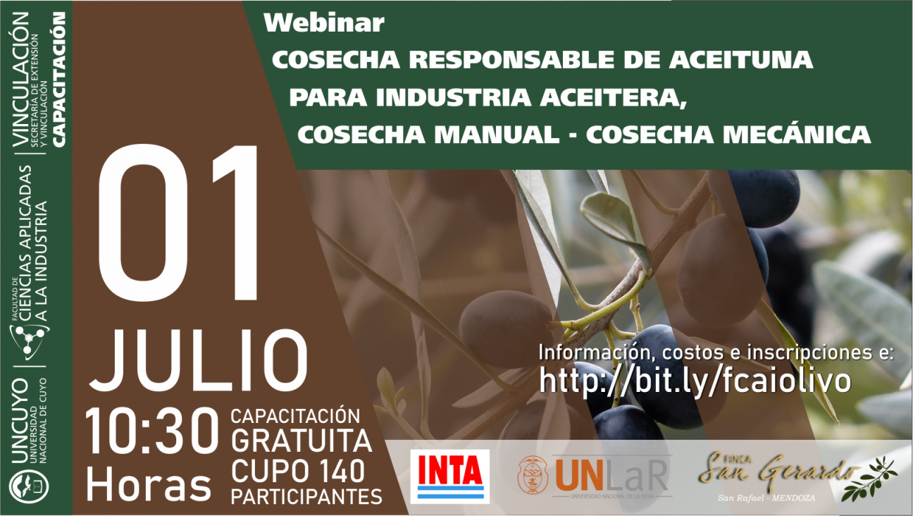 imagen Webinar: Cosecha responsable de aceituna para industria aceitera. Cosecha Manual - Cosecha Mecánica.