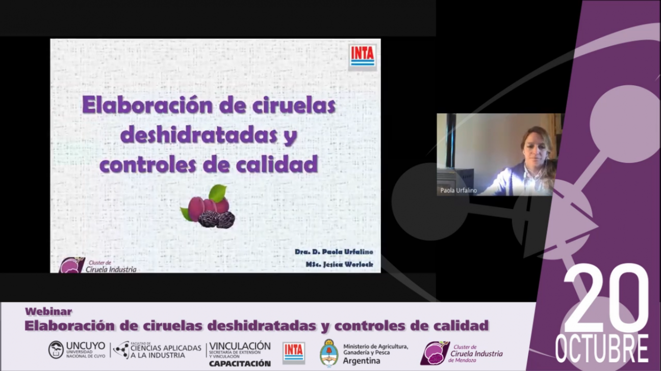 imagen Se realizó un webinar sobre Elaboración de Ciruelas Deshidratadas y Controles de Calidad