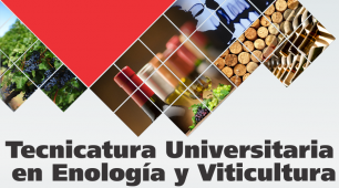 imagen Tecnicatura Universitaria en Enología y Viticultura (Sede Gral. Alvear)	