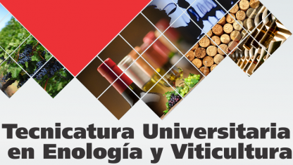 imagen Tecnicatura Universitaria en Enología y Viticultura