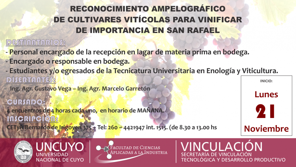 imagen CURSO: Conocimiento ampelográfico  de cultivares vitícolas para vinificar de importancia en San Rafael