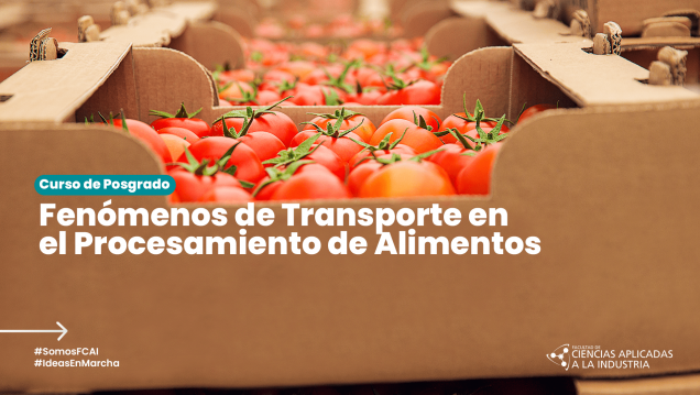 imagen Curso de Posgrado > Fenómenos de Transporte en el Procesamiento de Alimentos