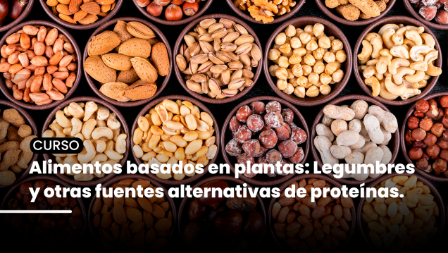 imagen Curso "Alimentos basados en plantas": Legumbres y otras fuentes alternativas de proteínas.