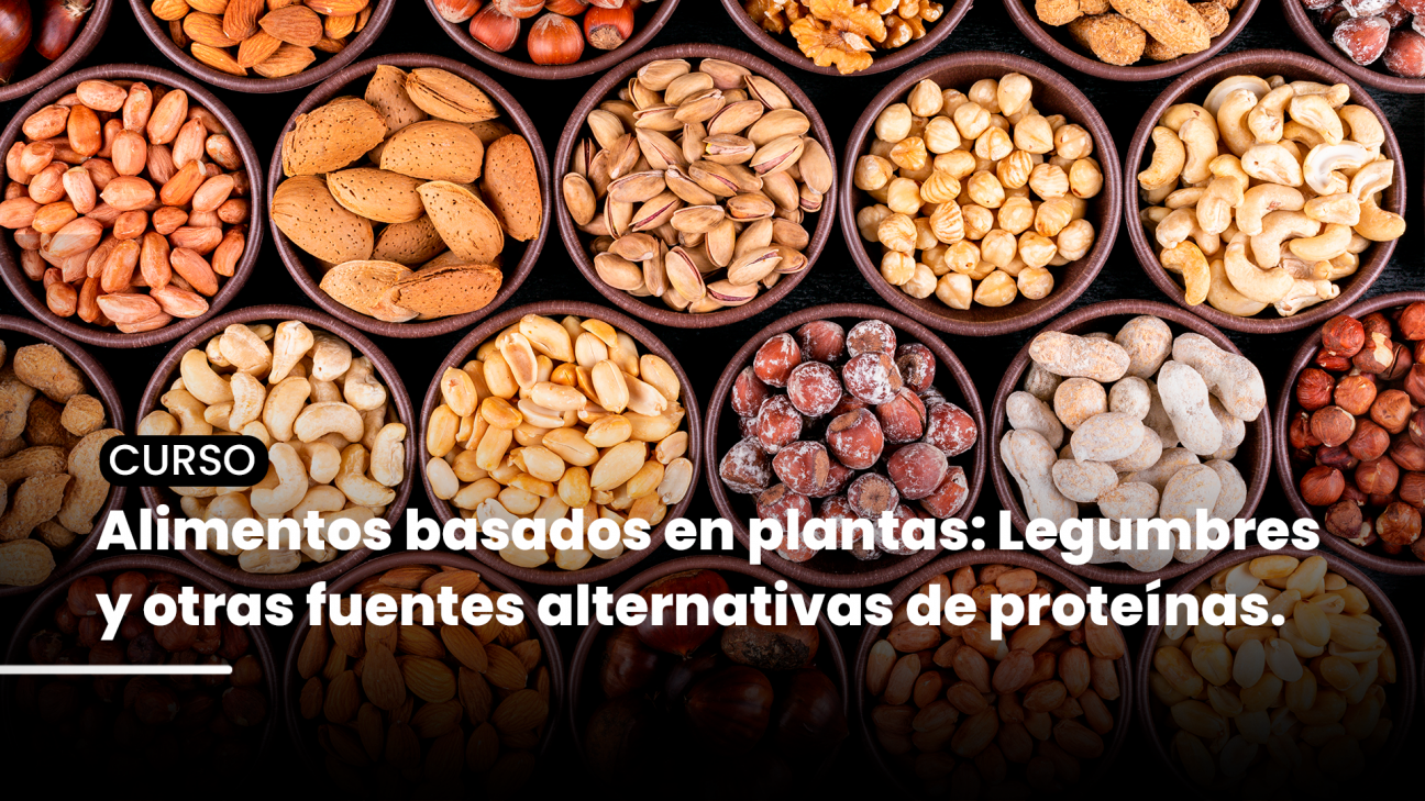 imagen Curso "Alimentos basados en plantas": Legumbres y otras fuentes alternativas de proteínas.