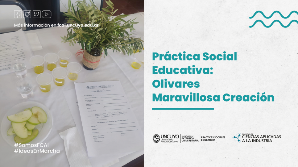 imagen Práctica Social Educativa: Olivares Maravillosa Creación